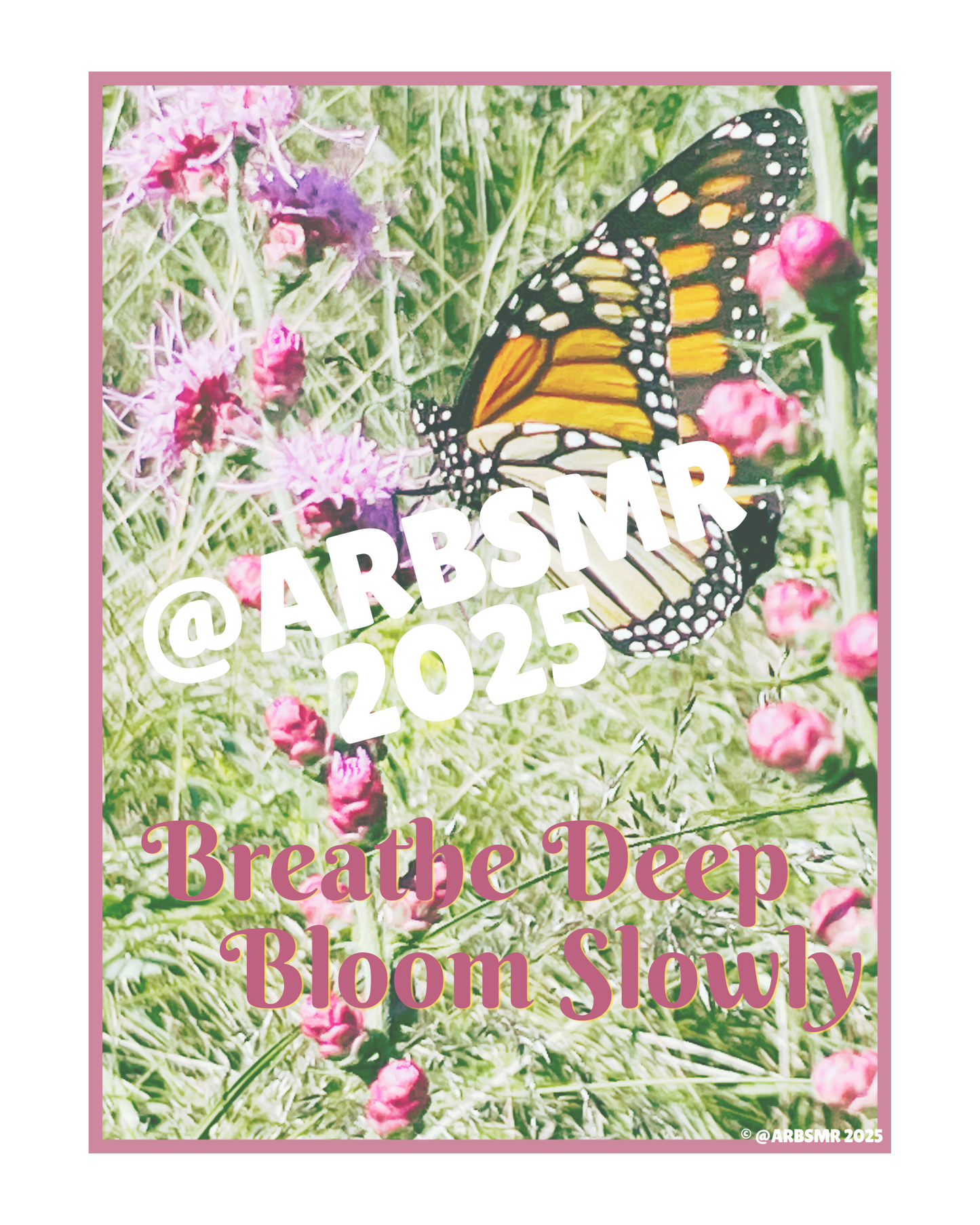 Butterfly Thistle Wall Art - Printable (8x10)